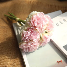 LOVE ATTRACTOR PEONIES Symbolize and Attracts Love